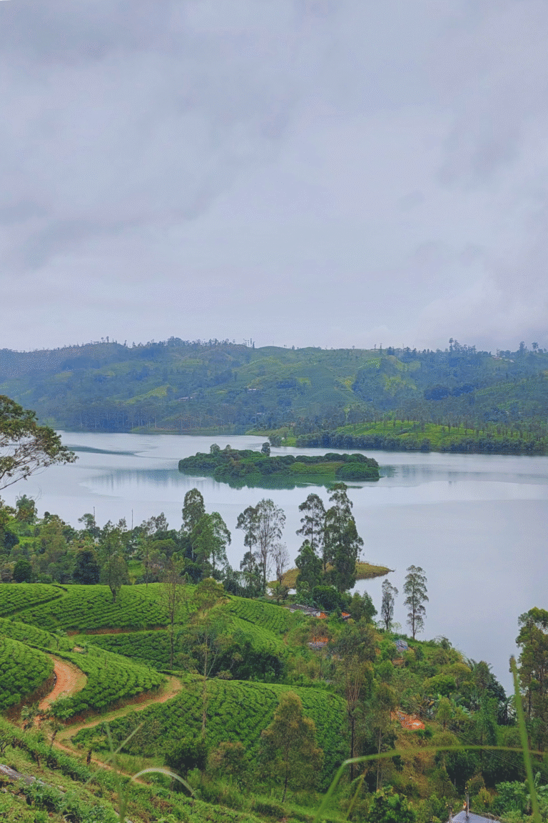 Scenic view of Castlereigh Reservoir in Sri Lanka