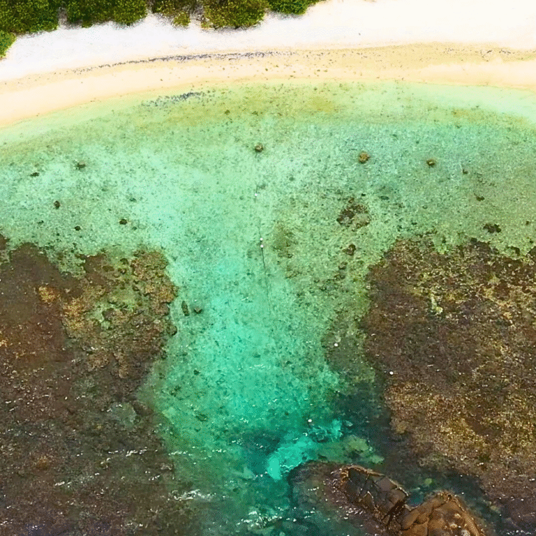 crystal clear water at Pigeon Island beach Sri Lanka