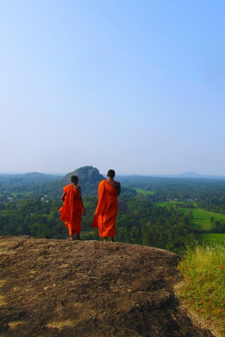 Travel photography of Dambadeniya historical site