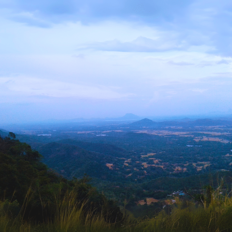 lush forest landscape around Dimbulagala destination