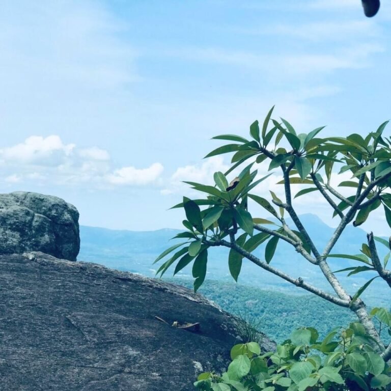 Dense greenery surrounding Dolukanda hill