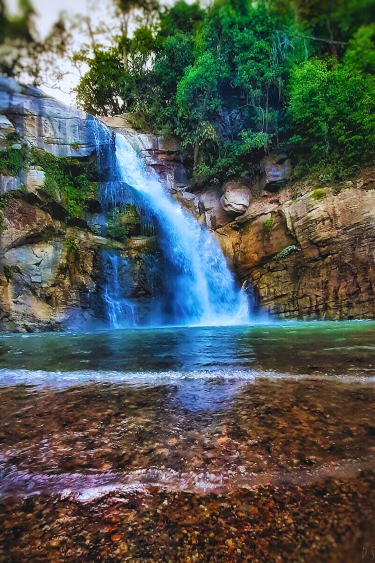 Ellewala Waterfall in Sri Lanka surrounded by lush green forest