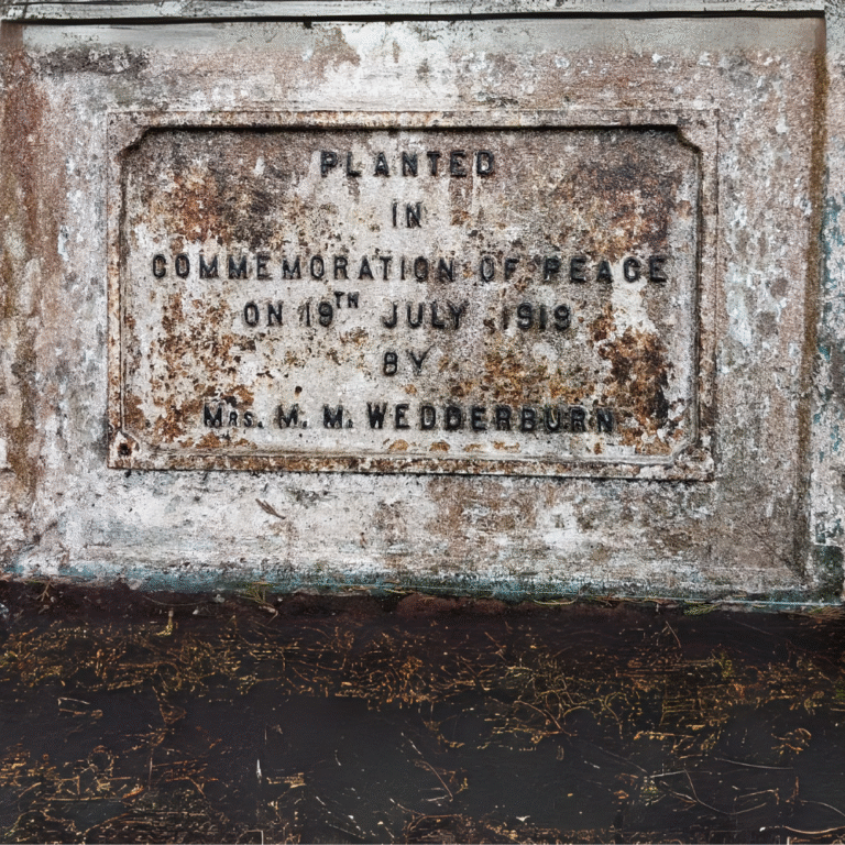 Scenic view of Victoria Park in Nuwara Eliya, Sri Lanka