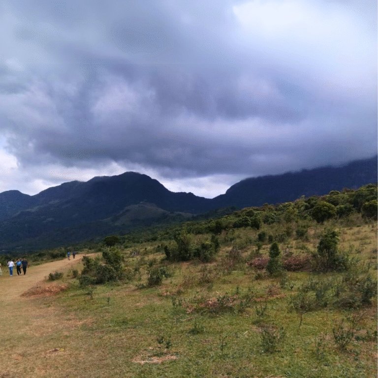Scenic hiking trail across Pitawala Pathana grass plain