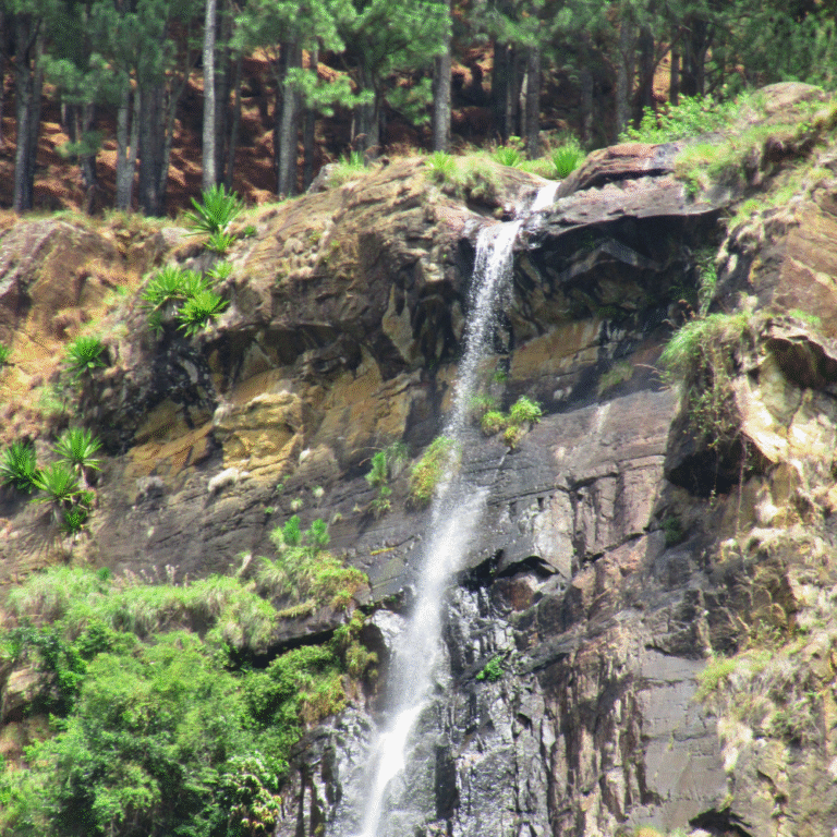 Sunrise light hitting the top of Bambarakanda Falls