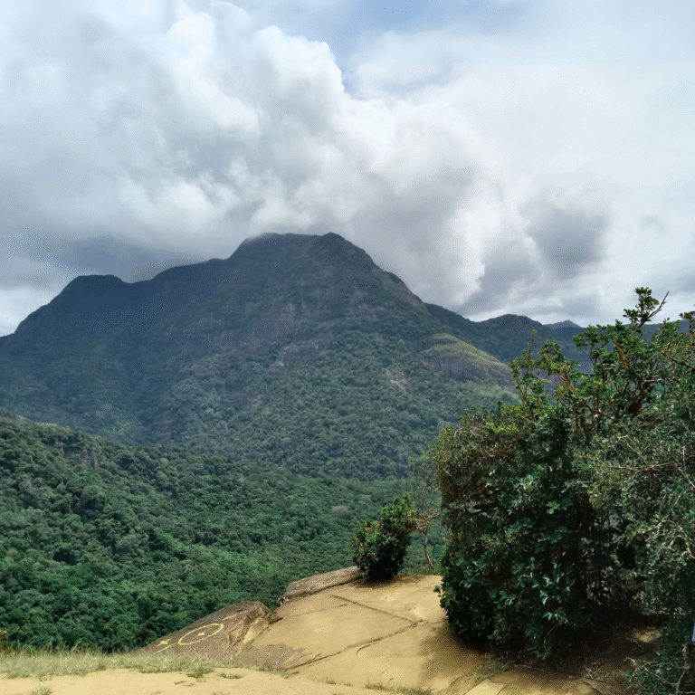 Breathtaking hilltop landscape in Riverston area