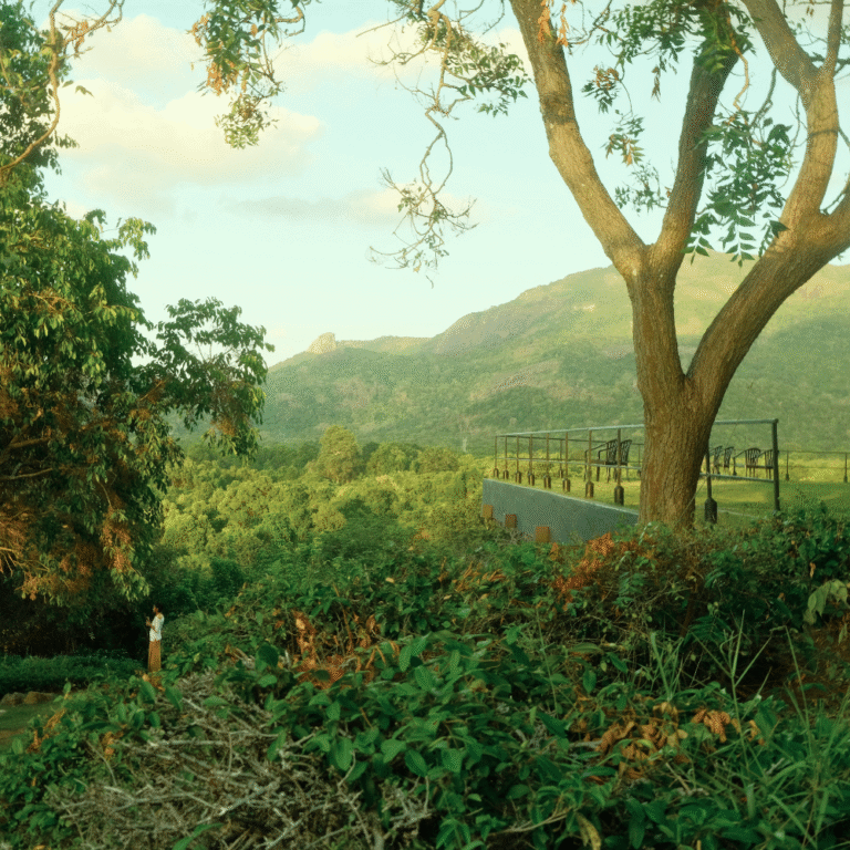 Kandalama Reservoir with misty hills in the background