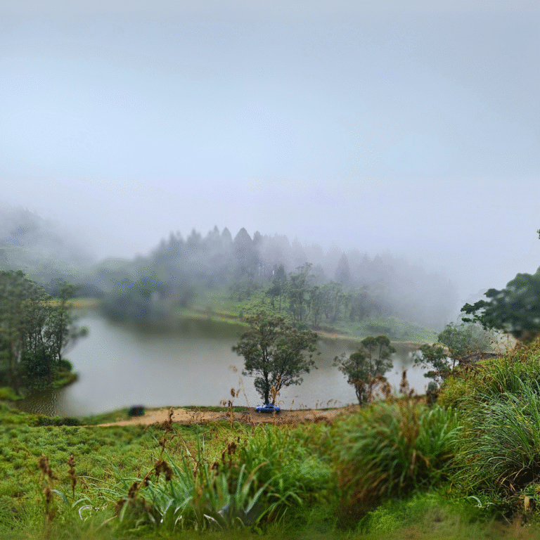 Bellwood View Point overlooking the serene Bellwood Lake in Sri Lanka