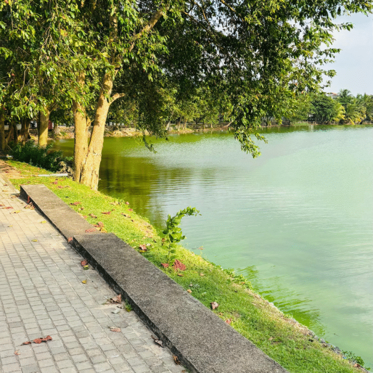 Scenic Lunawa Lagoon with clear water and greenery