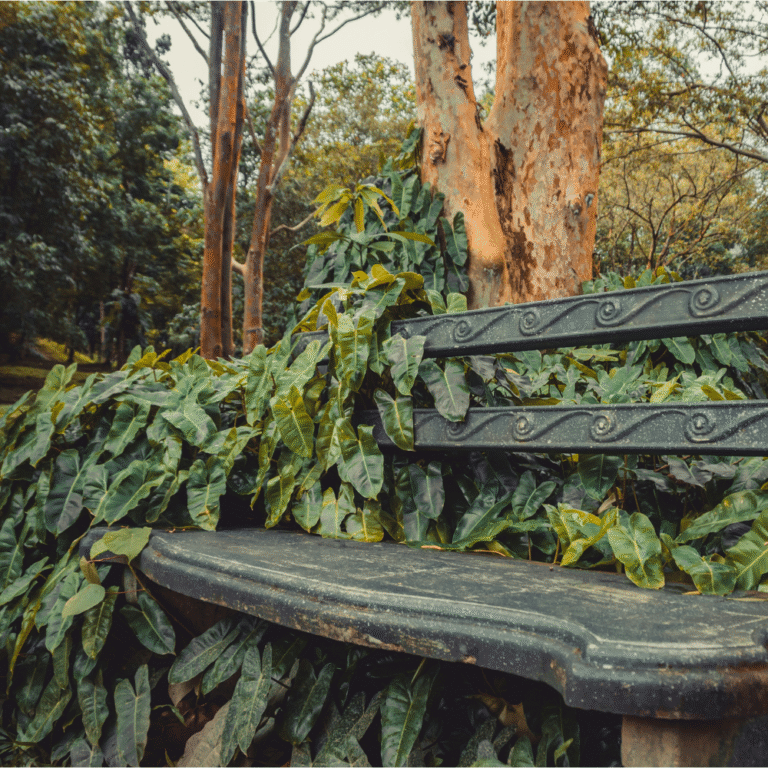 Seethawaka Wet Zone Botanical Garden tropical landscape