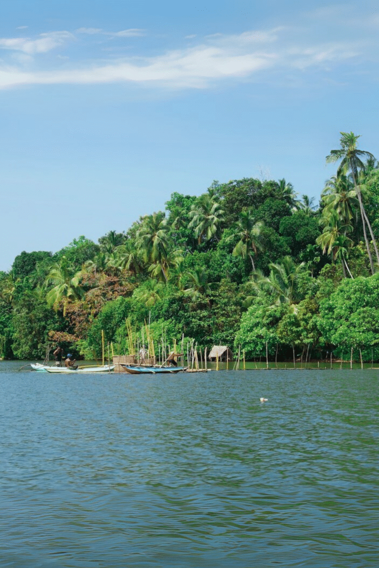 Biodiversity of Madu Ganga estuary with calm waters