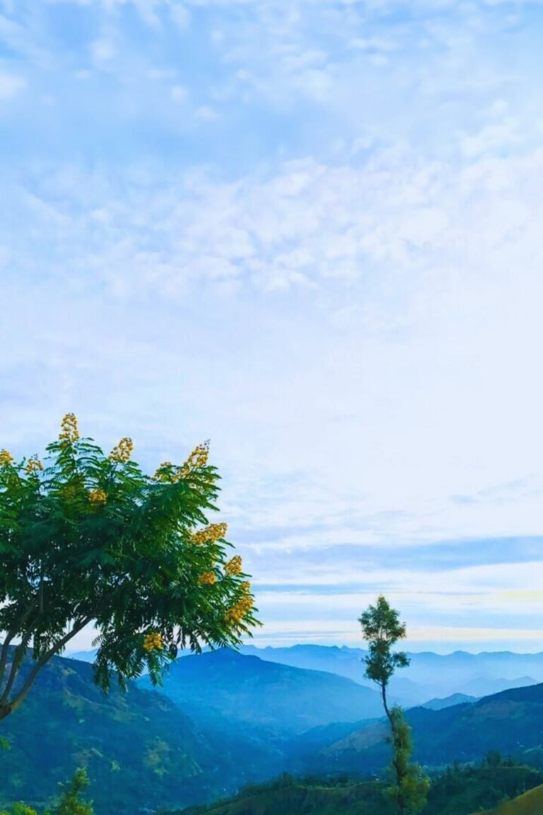 Misty morning view of Mandaram Nuwara village surrounded by lush mountains