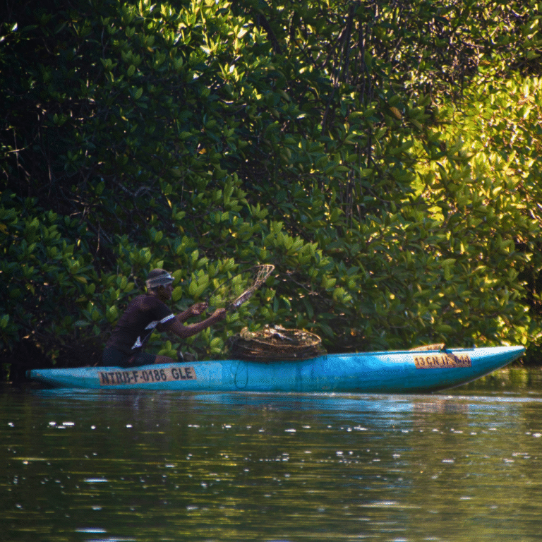 Scenic view of Madu Ganga river in southern Sri Lanka
