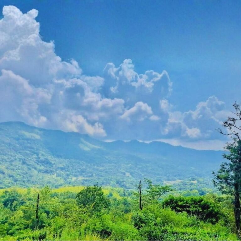 Mist-covered hills of Suriyakanda Ratnapura District