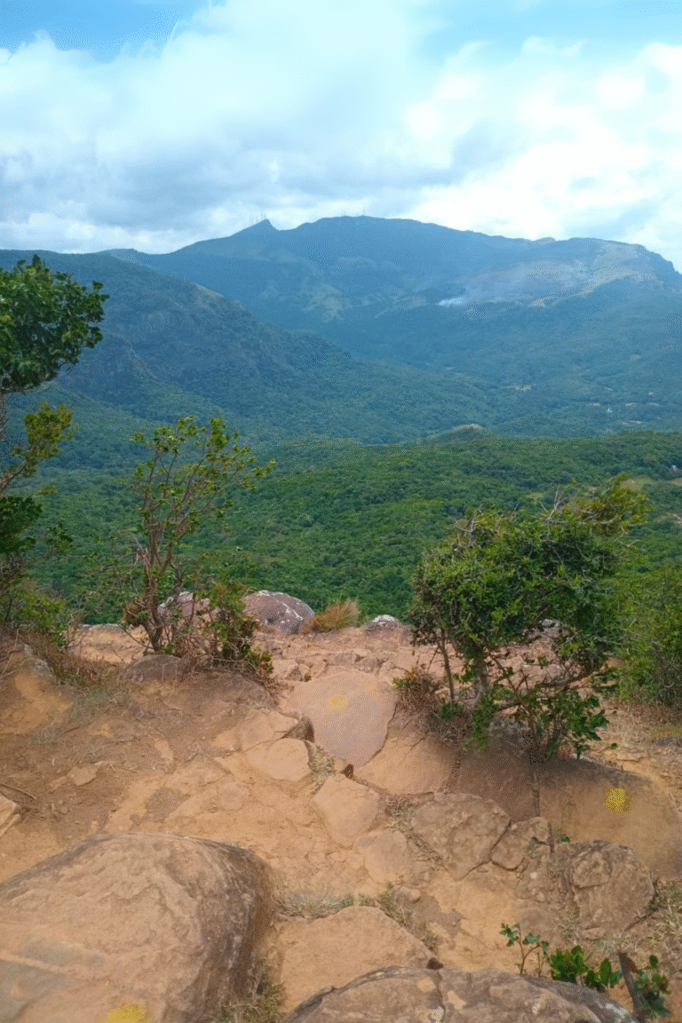 Riverston viewpoint under cloudy skies