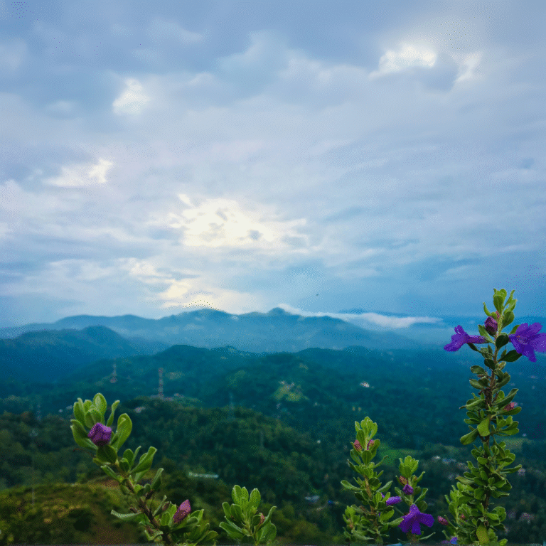 lush greenery surrounding Nelligala hill
