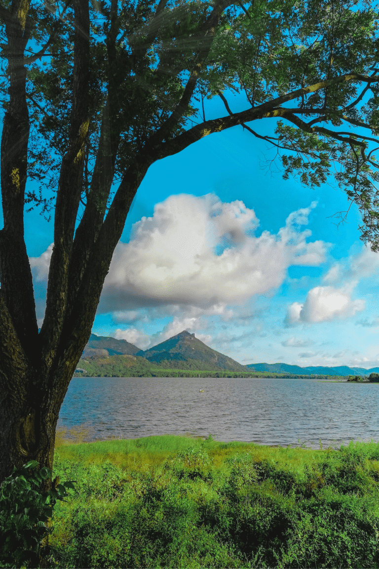 Eco-tourism experience near Kandalama Reservoir in Sri Lanka Mountain silhouettes behind Kandalama Reservoir at dawn Popular travel destination Kandalama Reservoir near Dambulla Peaceful picnic spot by the Kandalama Reservoir shoreline Kandalama Reservoir landscape under a cloudy sky Let me know if you want image titles or descriptions for social media or blog posts too. Do you like this personality?