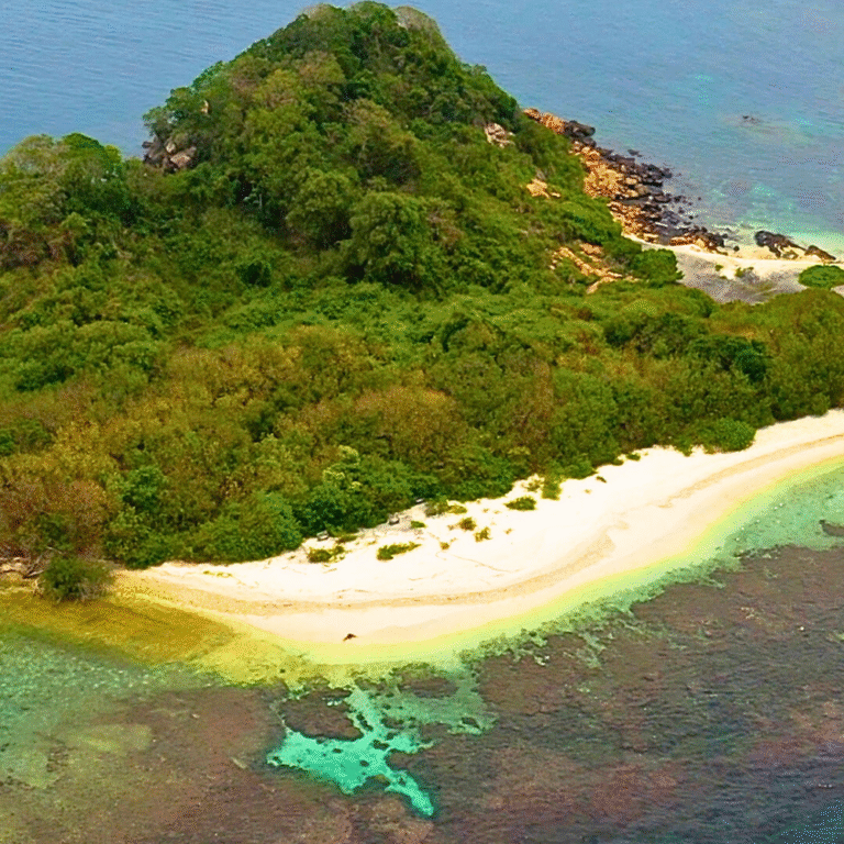 vibrant coral reef ecosystem at Pigeon Island