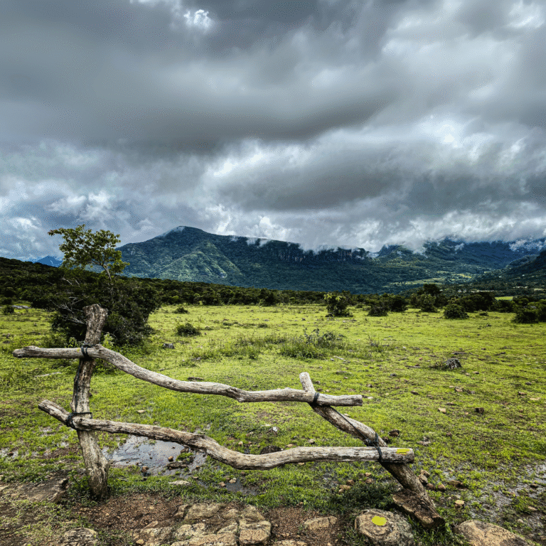 Wide-angle view of Pitawala Pathana overlooking the Knuckles range