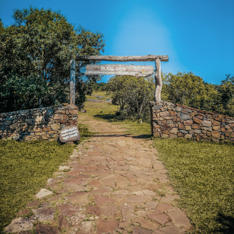 Panoramic view of Pitawala Pathana grassland in Riverston Sri Lanka