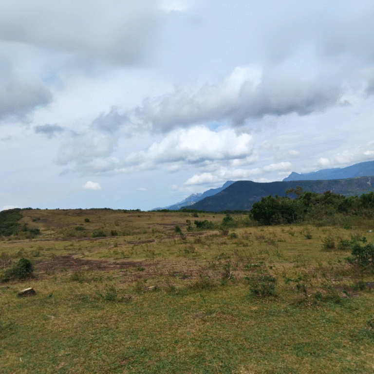 Lush green plateau of Pitawala Pathana under a cloudy sky