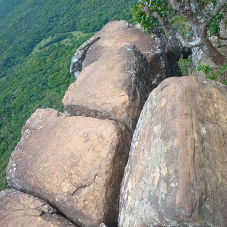Riverston peak overlooking the Knuckles mountain range
