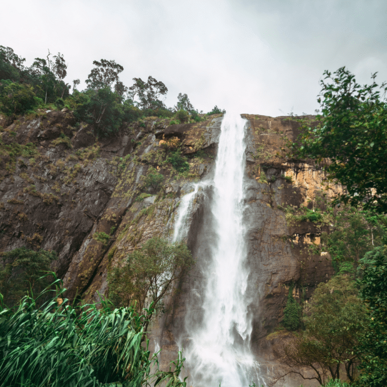 Diyaluma Falls surrounded by lush greenery and mist