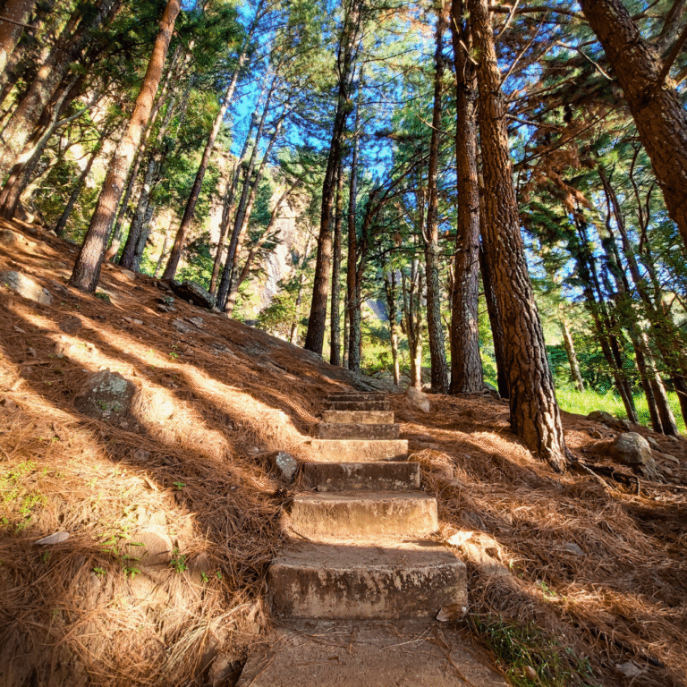 View of Bambarakanda Falls from the hiking trail