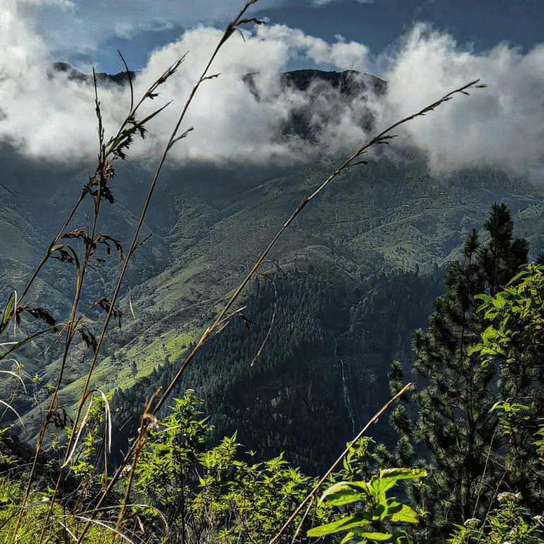 Wangedigala peak with dramatic sky and mountain range