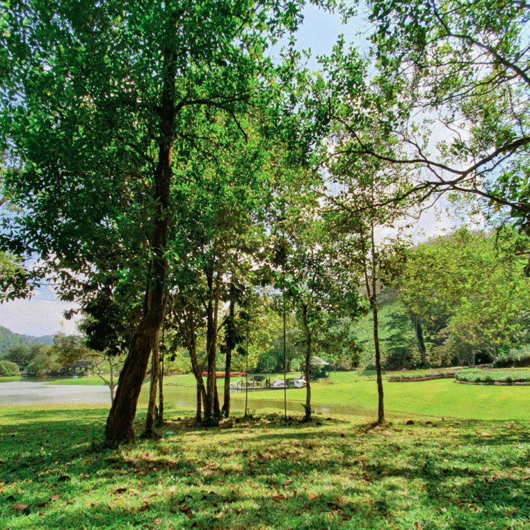 Educational botanical garden in the wet zone region