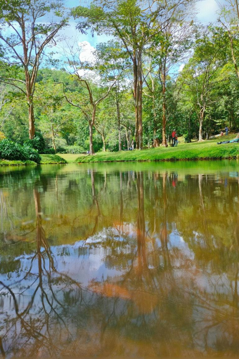 Peaceful environment in Seethawaka eco garden