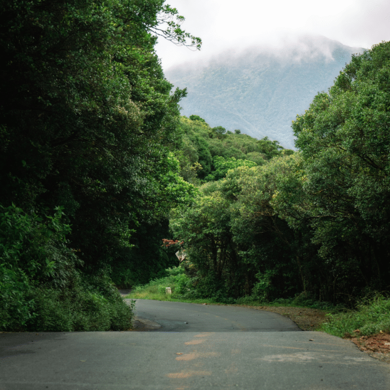 Lush greenery and hiking trails at Riverston Matale