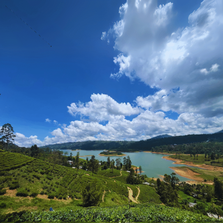 Panoramic landscape of Castlereigh Reservoir and tea estates
