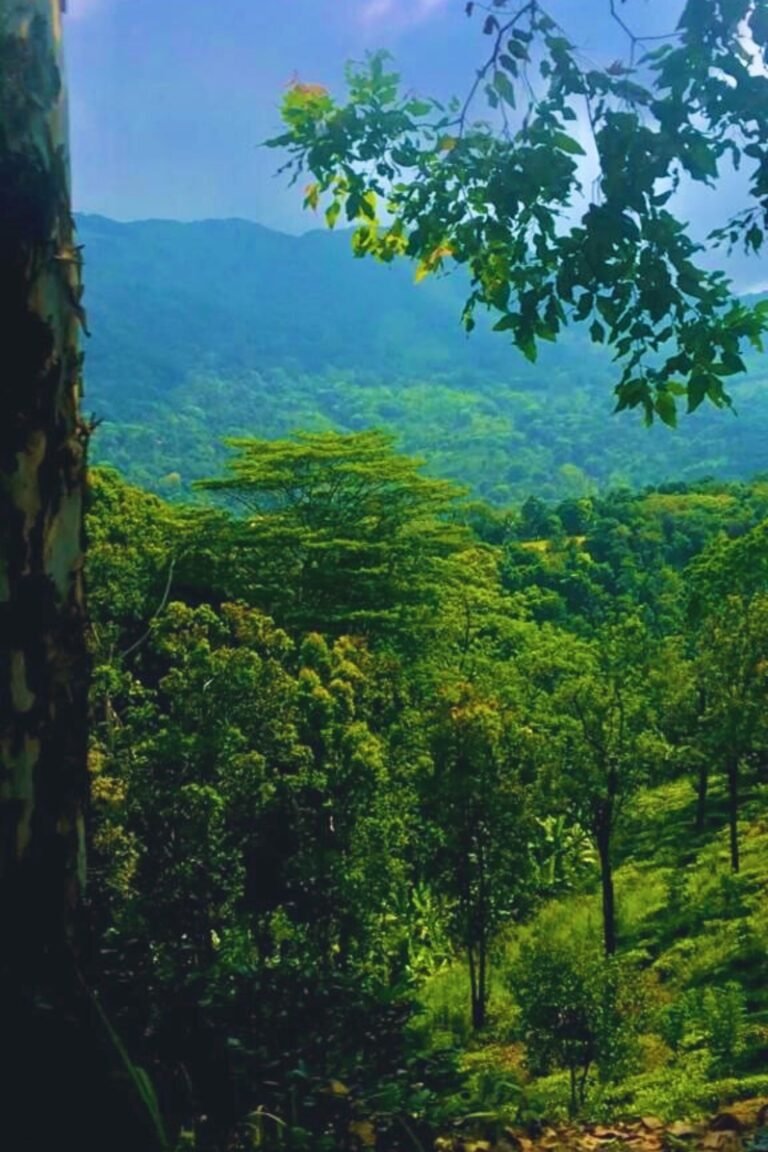 Scenic mountain view of Suriyakanda in Sri Lanka