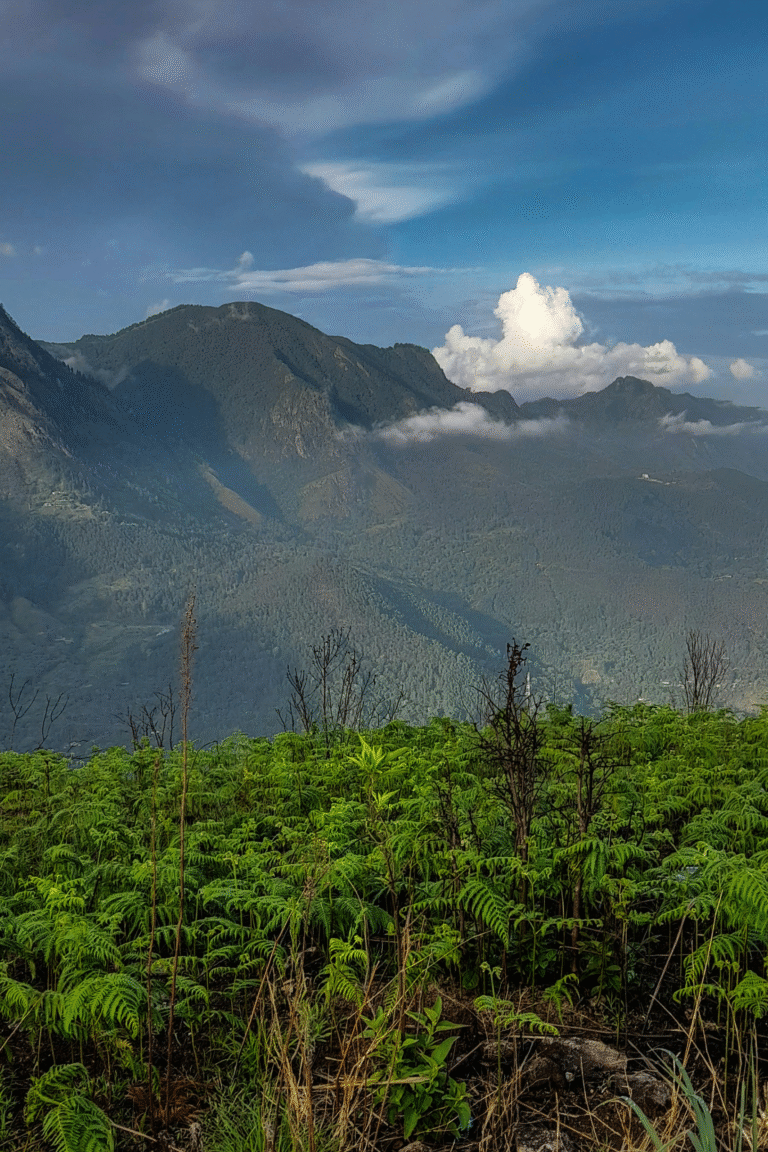 view of southern highlands from Wangedigala rock