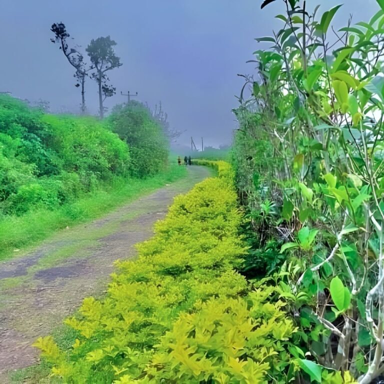 Breathtaking landscape of Suriyakanda hill country
