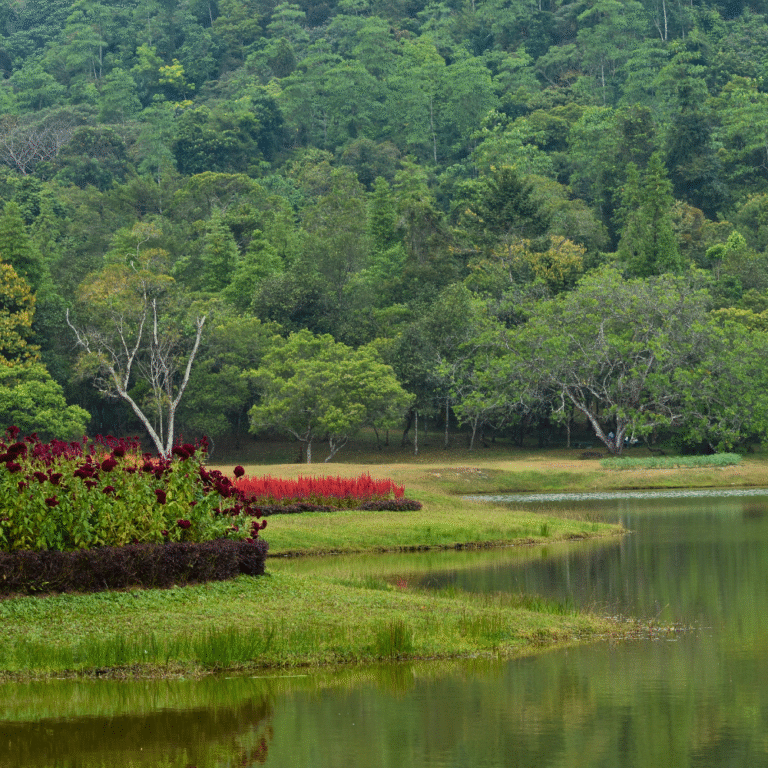 Rainforest flora at Seethawaka Botanical Gardens Sri Lanka