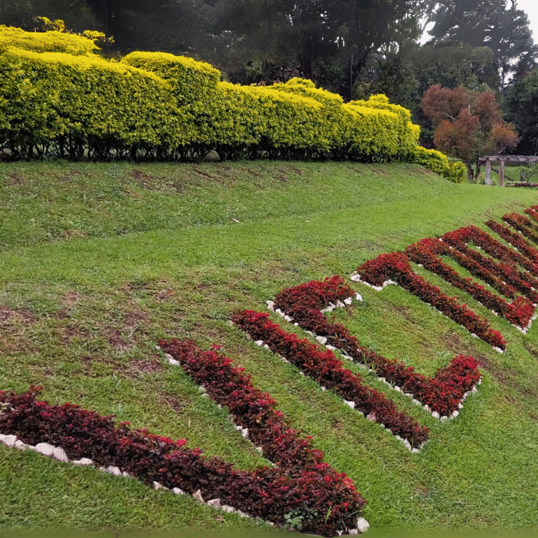 Well-maintained garden in Victoria Park with benches and trees