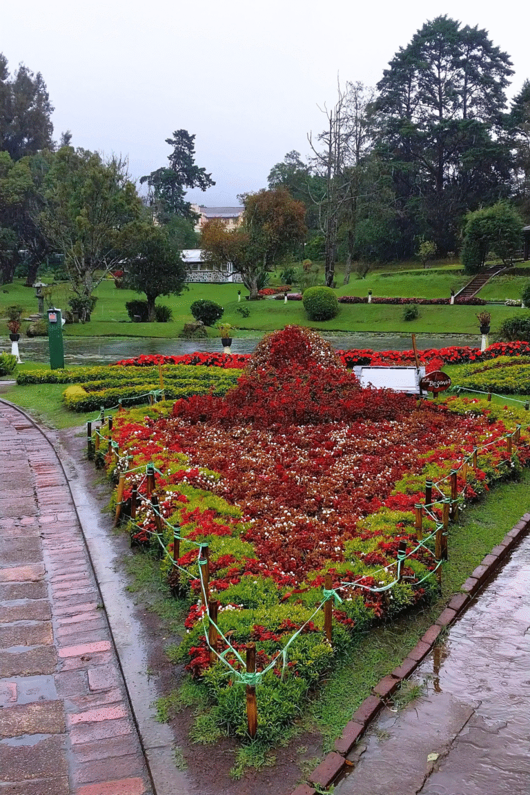 Lush greenery and flower beds at Victoria Park Sri Lanka