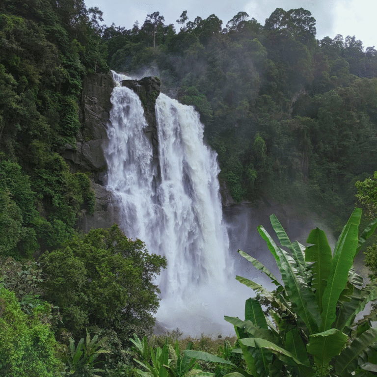 Mist rising from the base of Aberdeen Waterfall in Nuwara Eliya district