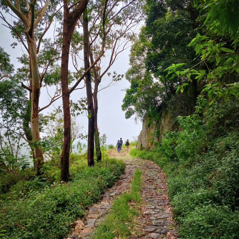 Narrow road winding through Devil’s Staircase Sri Lanka