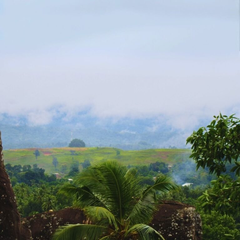 Panoramic view of Aluviharaya temple complex