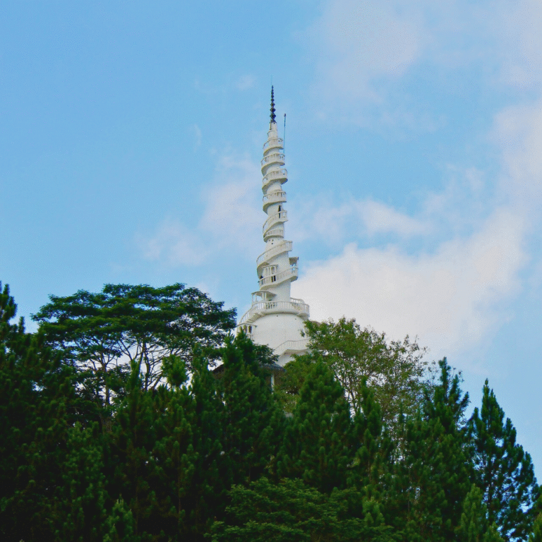 Aerial shot of Ambuluwawa mountain range and tower