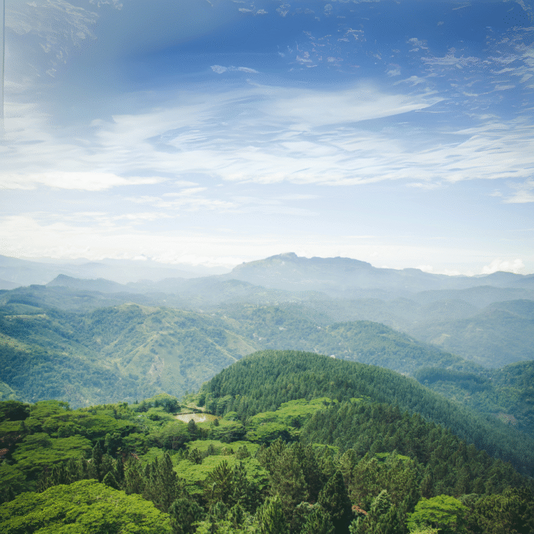 Ambuluwawa biodiversity complex surrounded by misty mountains