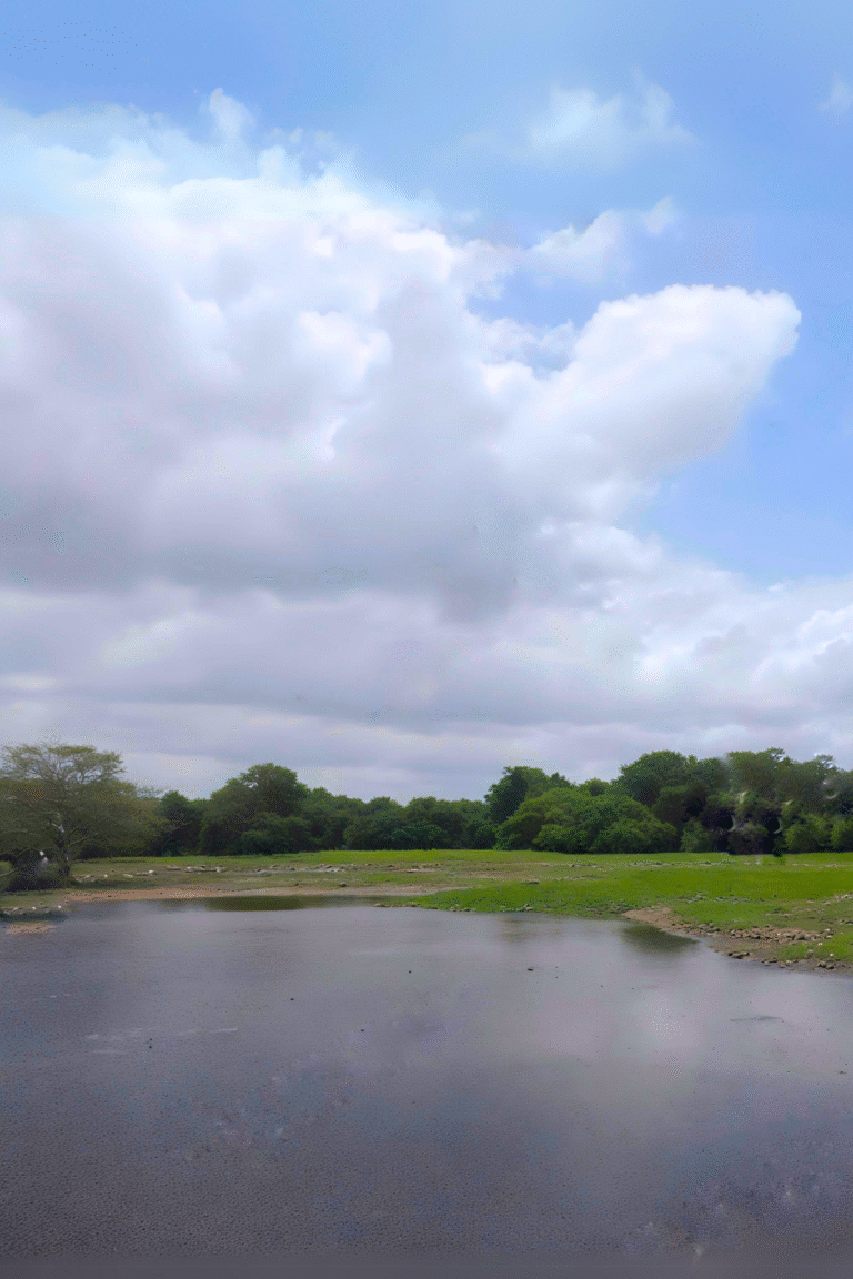 Natural lagoon system of Anawilundawa Bird Sanctuary Sri Lanka