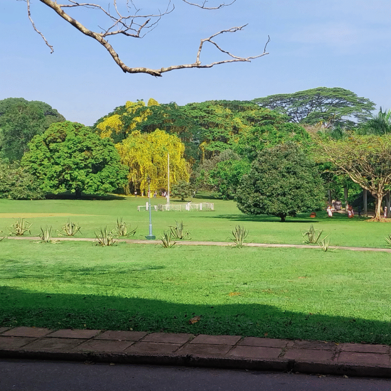 Lush gardens around University of Peradeniya Sri Lanka