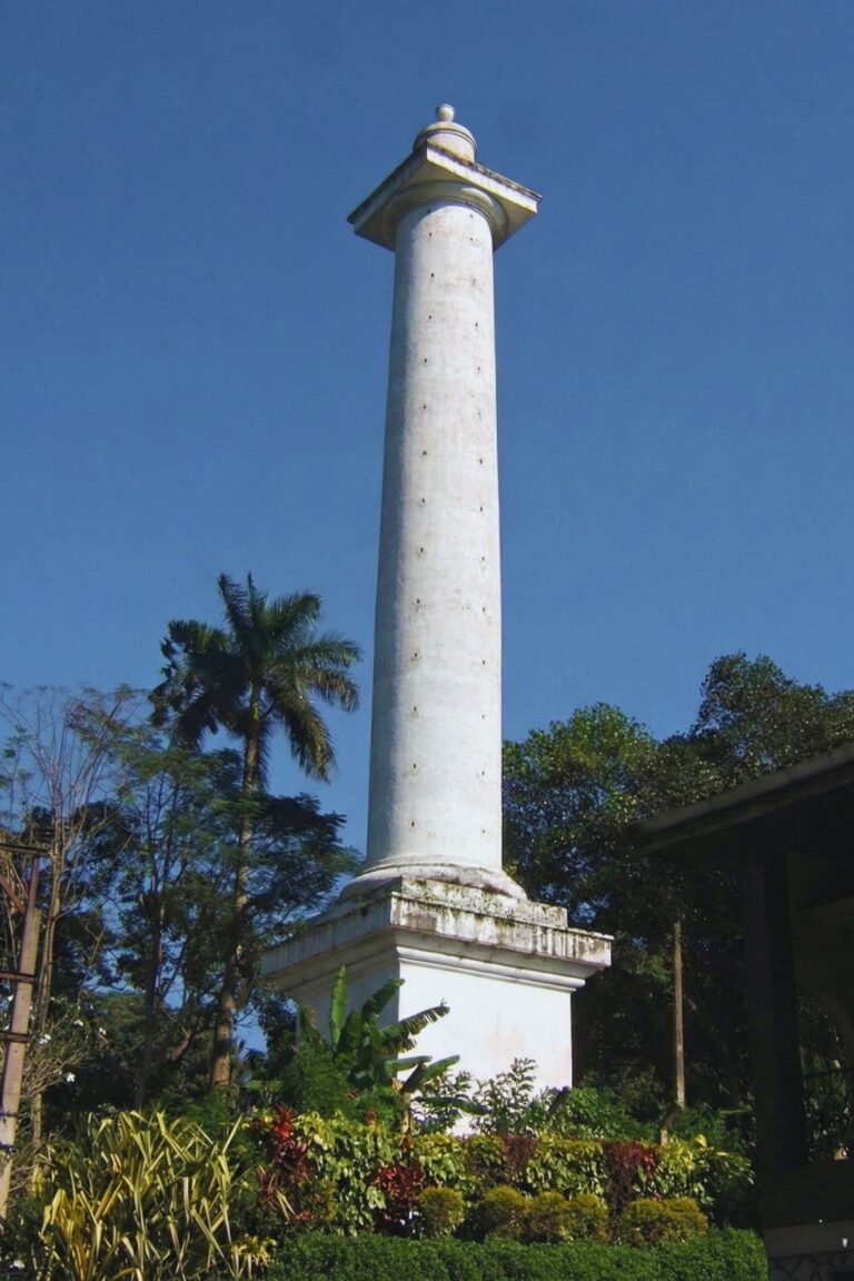 historic architecture of Captain Dawson Tower