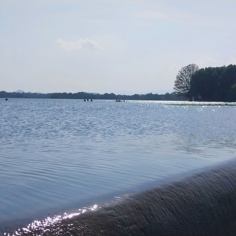 Scenic destination for eco-tourism near Pelmadulla