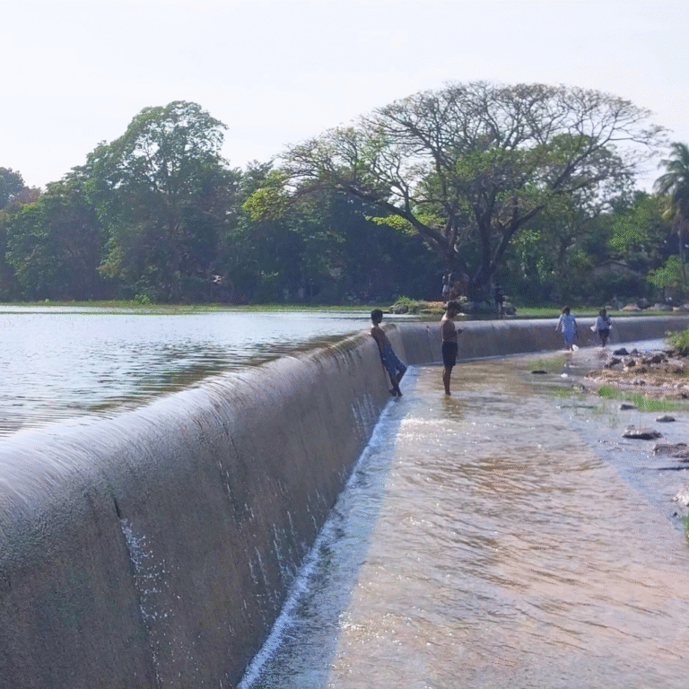 Tourists enjoying the peaceful waters of Chandrika Wewa