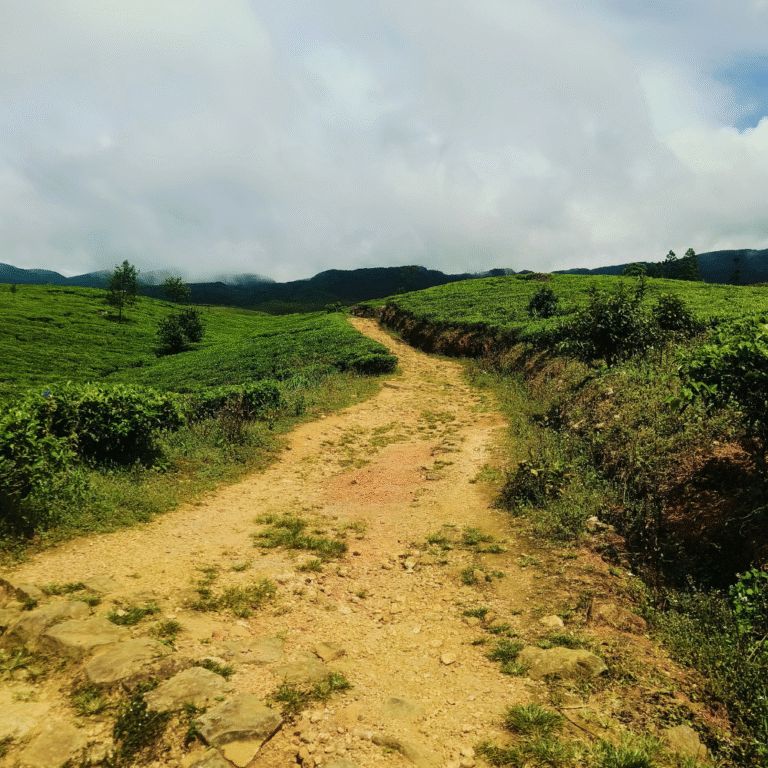 Chariot Path trekking trail with breathtaking views